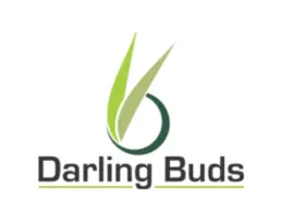 Darling Buds Clinic